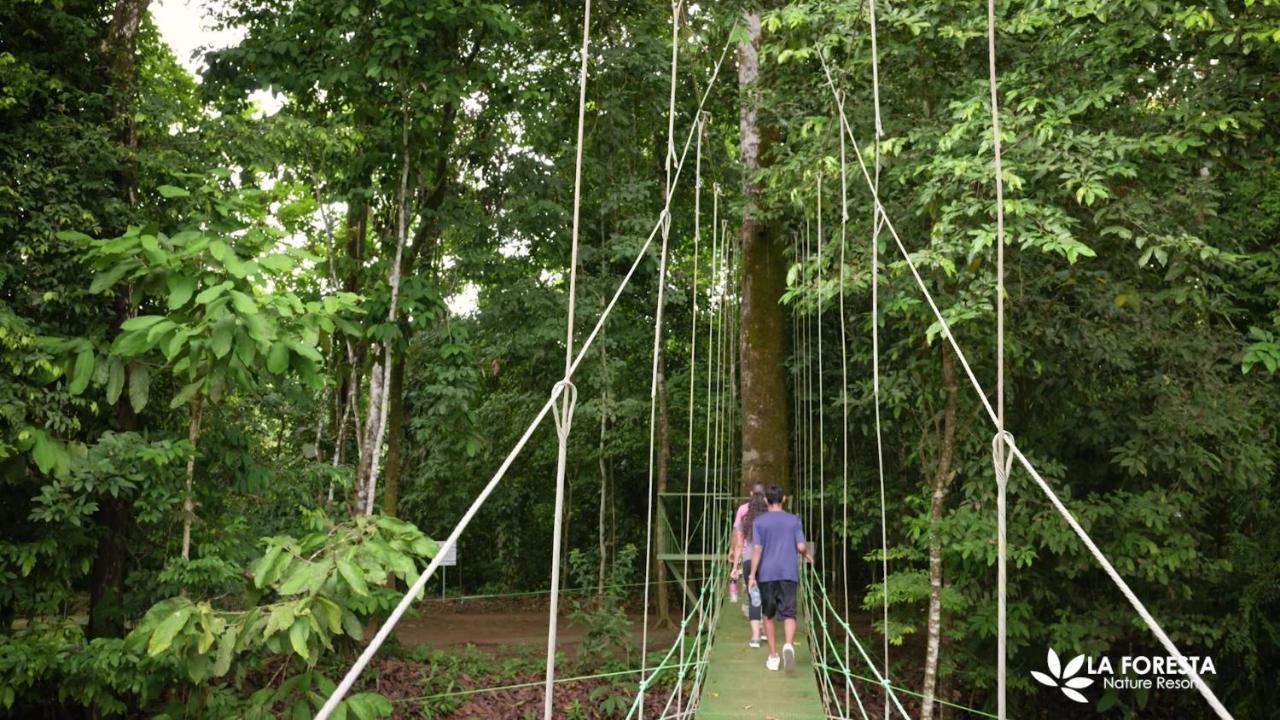 La Foresta Nature Resort Quepos Εξωτερικό φωτογραφία